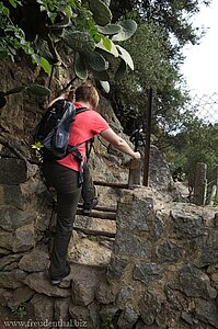 Hindernis auf dem Camí Baix des Penyal