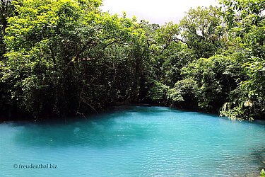 Eine Blaue Lagune am Río Celeste