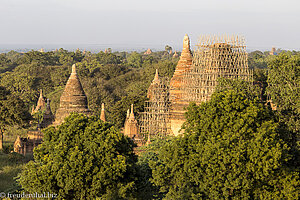 Blick über das Tempelfeld von Bagan