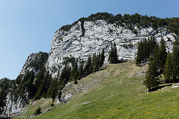 Westliches Ende vom Mattstock