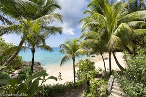 Seychellenstrand beim Sunset Beach Hotel auf Mahé