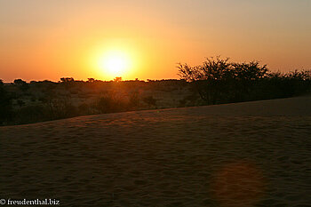 Sonnenuntergang in der Kalahari