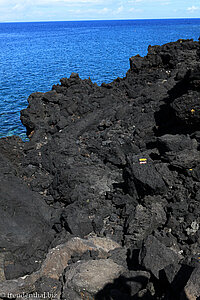 Wanderweg über Lavafelsen an der Ponta da Ilha