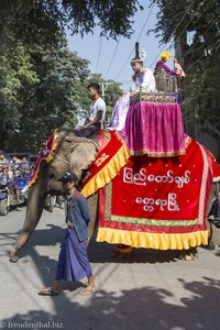 Novize auf dem Elefant - Novizenfest in Mandalay