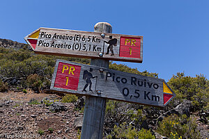 wir sind schon fast oben auf dem Pico Ruivo