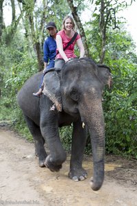 Anne bringt den Elefant in den Wald