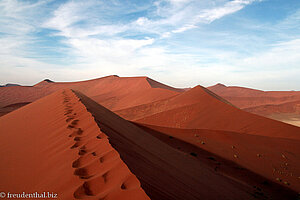 Auf der Düne 45 von Sossusvlei