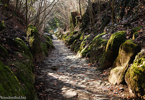 Hohle Gasse des Wilhelm Tell