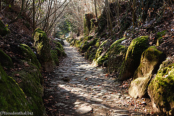 Hohle Gasse des Wilhelm Tell