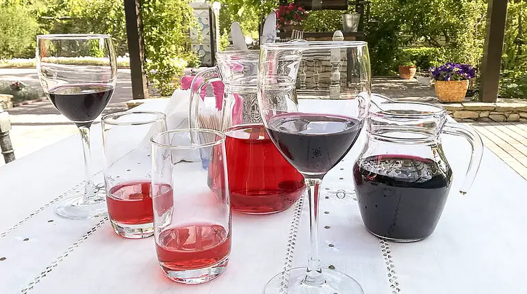 selbst gekelterter Wein und eigene Limonade - Resedinta Rotundu in Butuceni