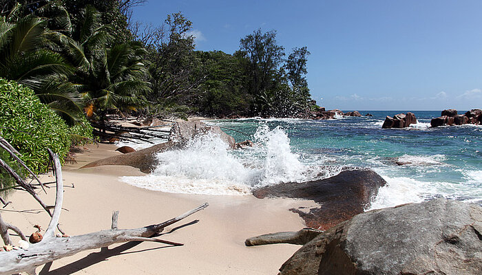 Strand an der Anse Badamier