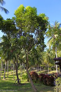 Garten im Ban Raya Resort