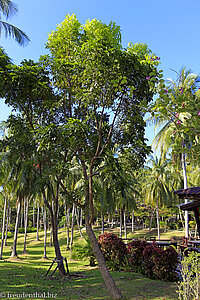 Garten im Ban Raya Resort