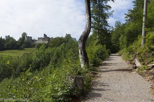 Burgenwanderung bei Eisenberg