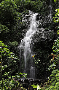 El Tigre Wasserfall in Costa Rica