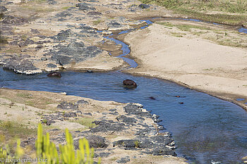 Blick vom Camp auf den Olifants Fluss im Krüger Nationalpark