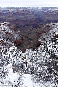 Grand Canyon und Colorado Fluss