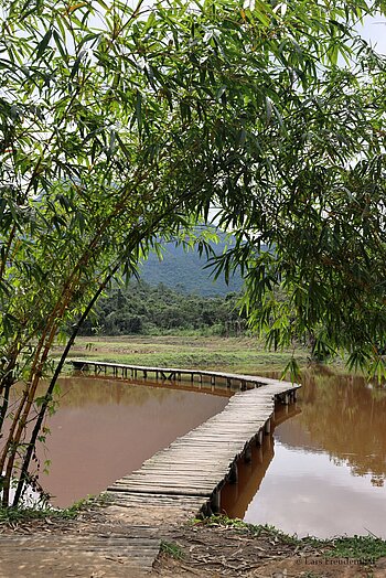 Steg über den Lotusteich bei Mỹ Sơn