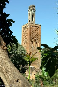 altes Minarett mit Storchennest