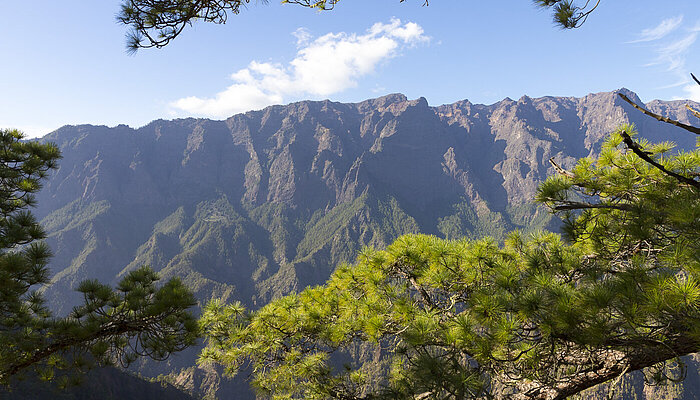 Wandern auf La Palma