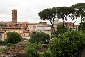 Forum Romanum | der Römische Marktplatz