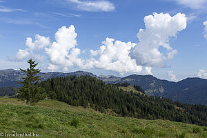 Aussicht vom Hochschelpen