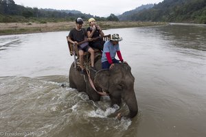 Elefantentrekking durch den Nam Khan in Laos