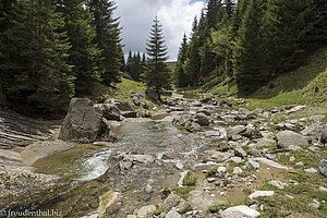 In einem Bachbett durch das Bucegi Gebirge