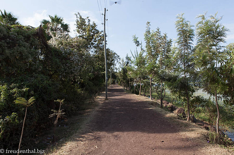 Uferpromenade beim Awassasee - Äthiopien