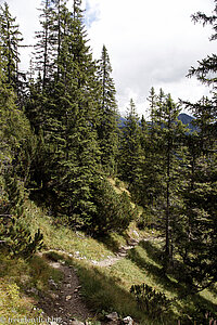 Rückweg nach Berwang