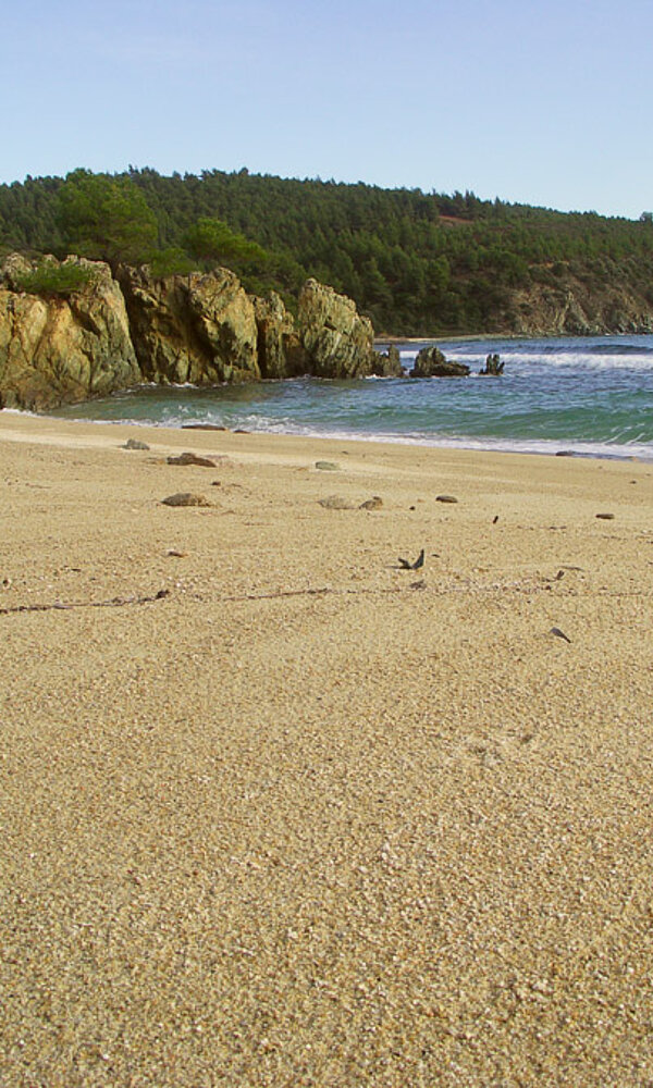 Strand auf Sithonía