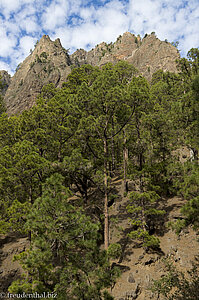 Blick zum Calderarand des Taburiente