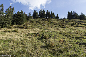 Almwiesen beim Hochhäderich