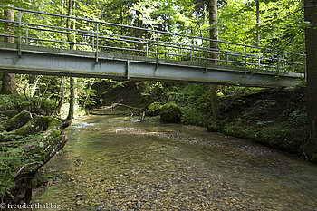 Steg über den Rickenbach bei den Scheidegger Wasserfällen