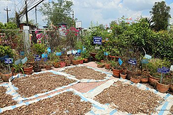 zum Trocknen ausgelegte Kräuter bei Vinh Long, Vietnam