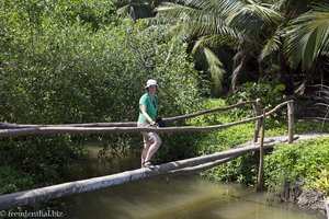Natürliche Behelfsbrücken im Tayrona Nationalpark