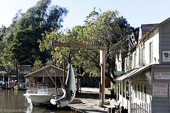 der Weiße Hai in Amity Island