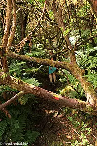 wilder Wanderweg zu den Mistérios dos Negros