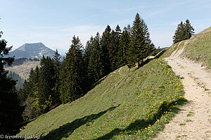 Wanderweg entlang des Spichers