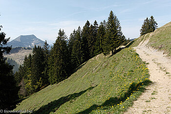 Wanderweg entlang des Spichers