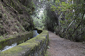 Und immer entlang der Levada