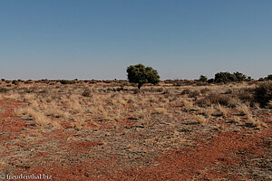 Blick von der Anib Lodge in die Kalahari