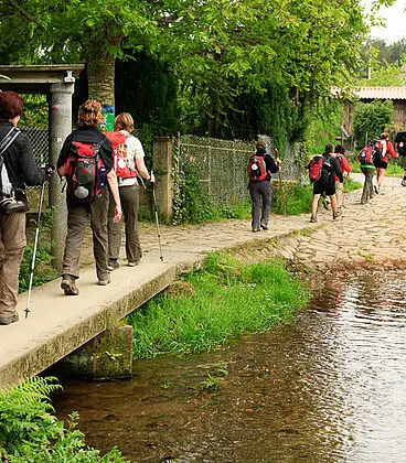 Auf dem Camino Frances nach Pedrouzo