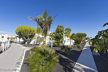 Im Garten des Bluesea Alyssa Suite Hotel bei Playa Blanca