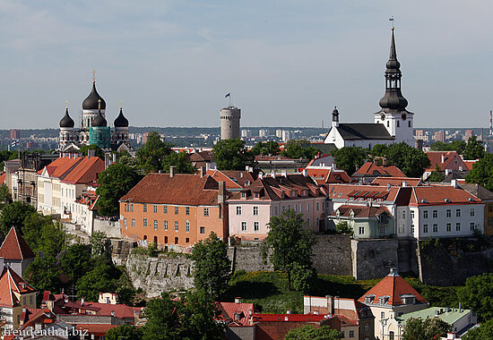 Aussicht vom Patkul über die Altstadt von Tallinn in Estland
