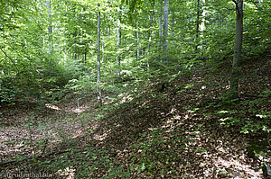 Keltische Wallanlagen nahe dem Wanderparkplatz Rosenstein