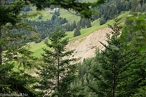 Erdrutsch Alp Fliwald