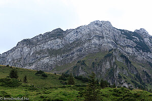 Aussicht von Oberchäseren zum Mattstock