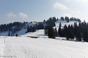 Winterwanderweg von Stotzweid auf den Tanzboden