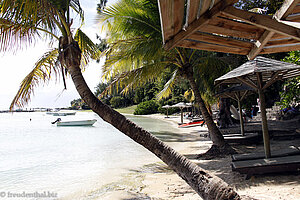 Strand mit Palmen beim Hotel Coin de Mire